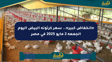 «انخفاض كبير».. سعر كرتونة البيض اليوم الجمعة 2 مايو 2025 في مصر